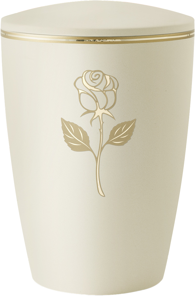 Melina, Creme Rose